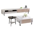 Contemporary Nordic Glass Coffee Table and TV Cabinet Set for Distributors
