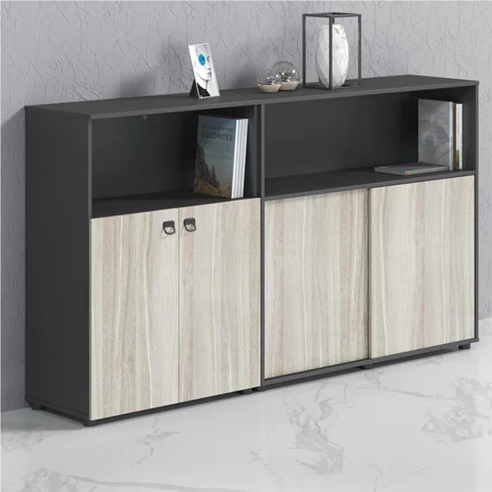 Modern Minimalist Office Storage Cabinet for Organized Workspaces