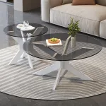 Functional Minimalist Coffee Table