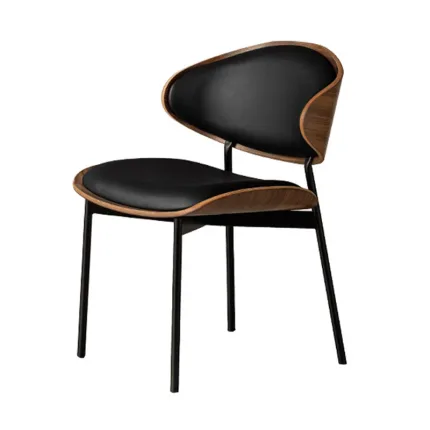 Contemporary Dining Chairs with Stylish DesignGZ-W102#